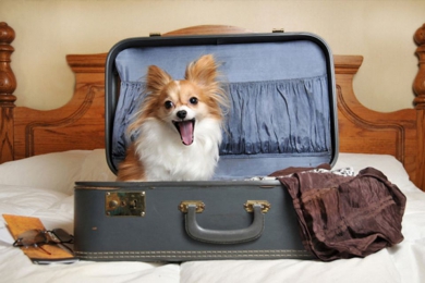 Travelling